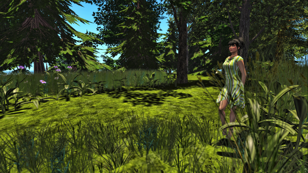 Brayla in Opensim